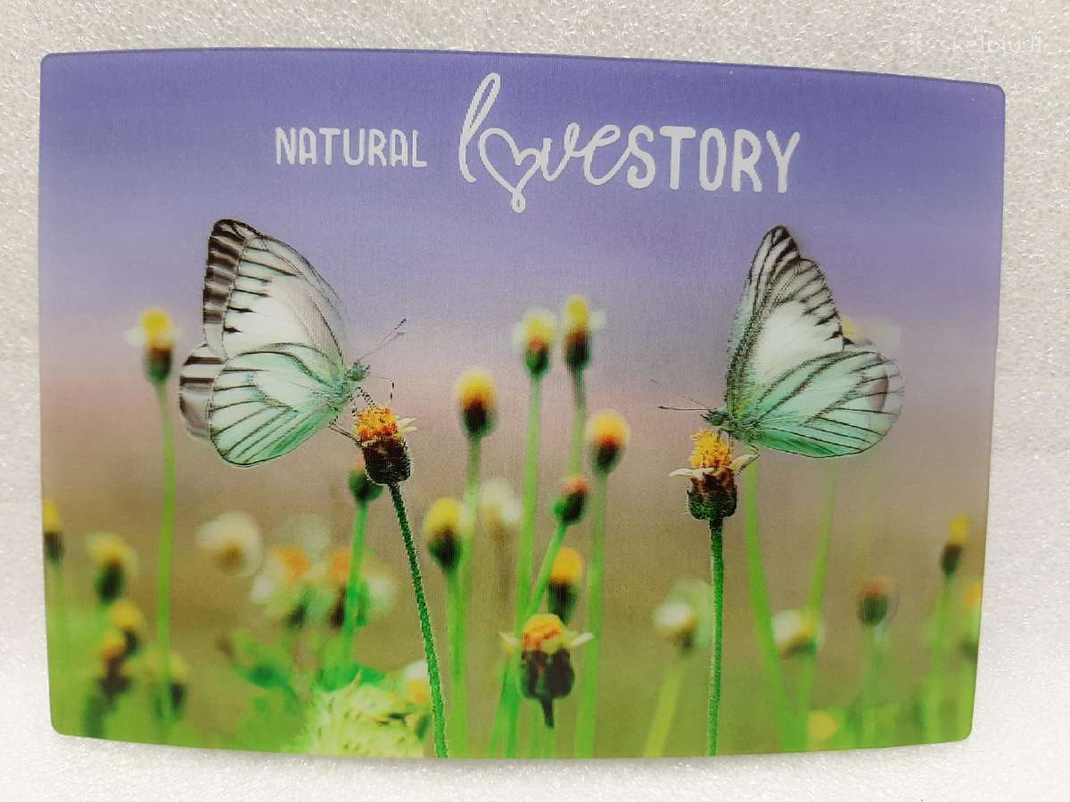 3D Stereo atvirukai, švarūs nauji Labai kokybiški - nuotraukos Nr. 11