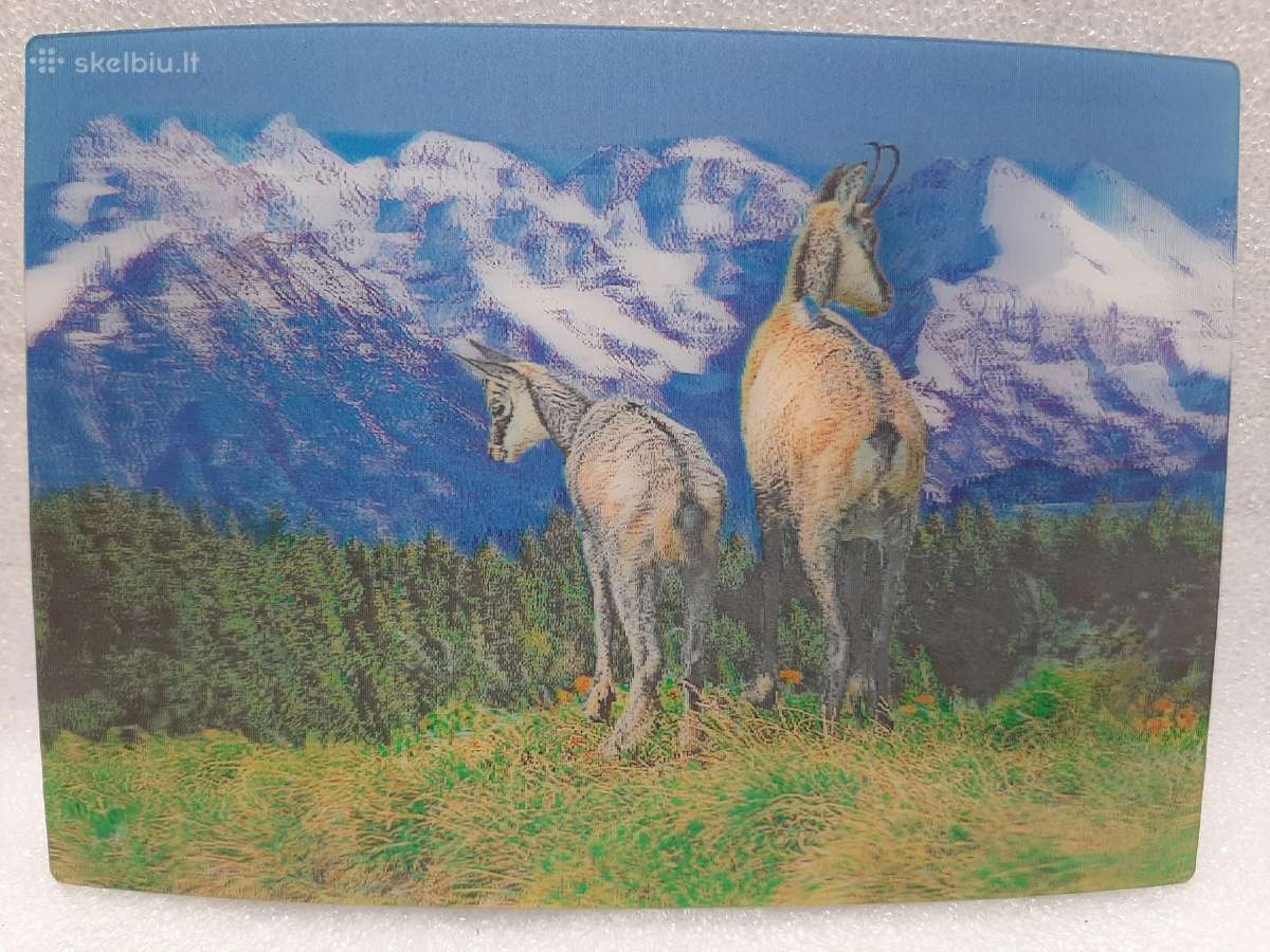 3D Stereo atvirukai, švarūs nauji Labai kokybiški - nuotraukos Nr. 21