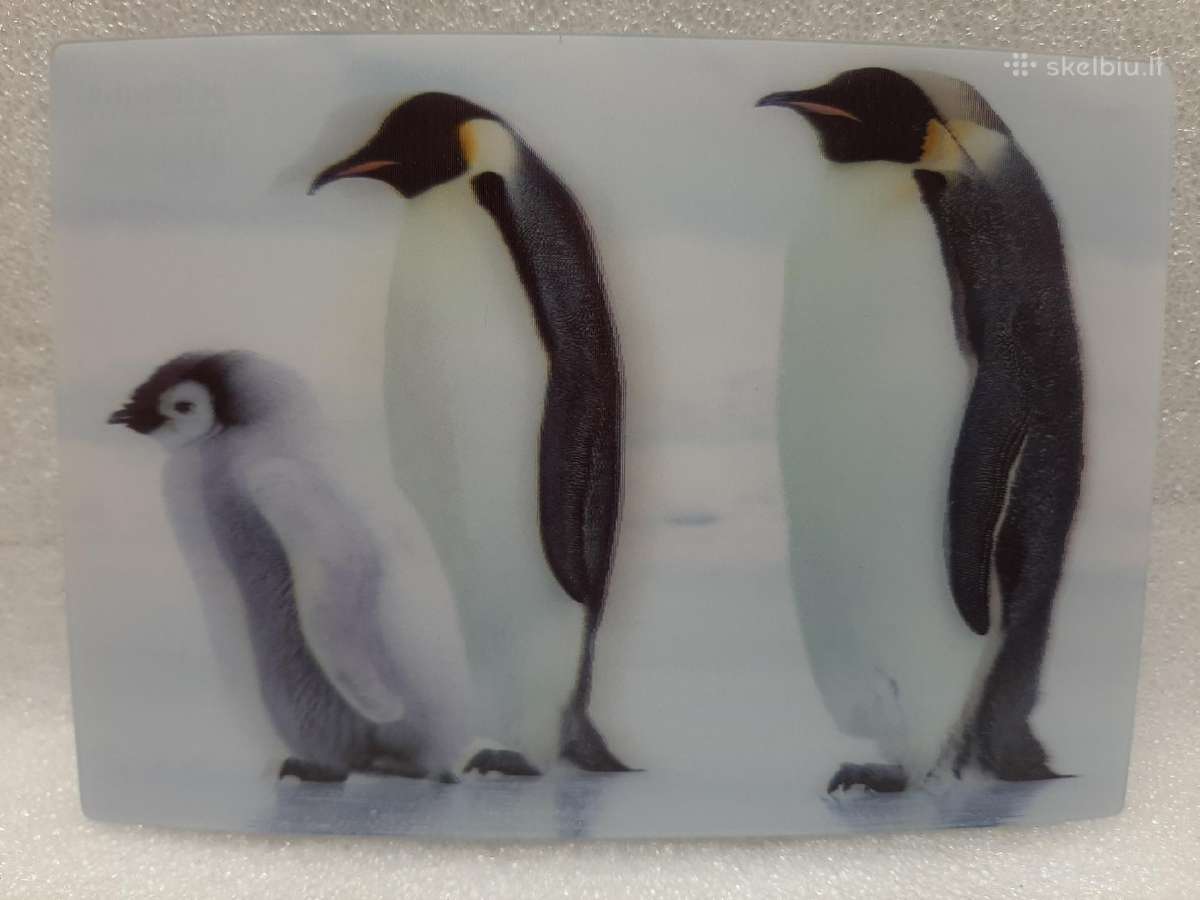 3D Stereo atvirukai, švarūs nauji Labai kokybiški - nuotraukos Nr. 25