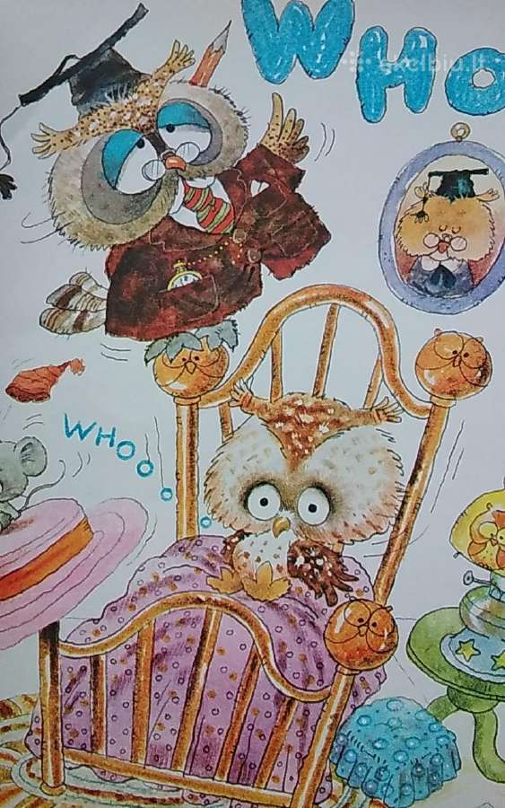 The owl who loved sunshine - nuotraukos Nr. 4