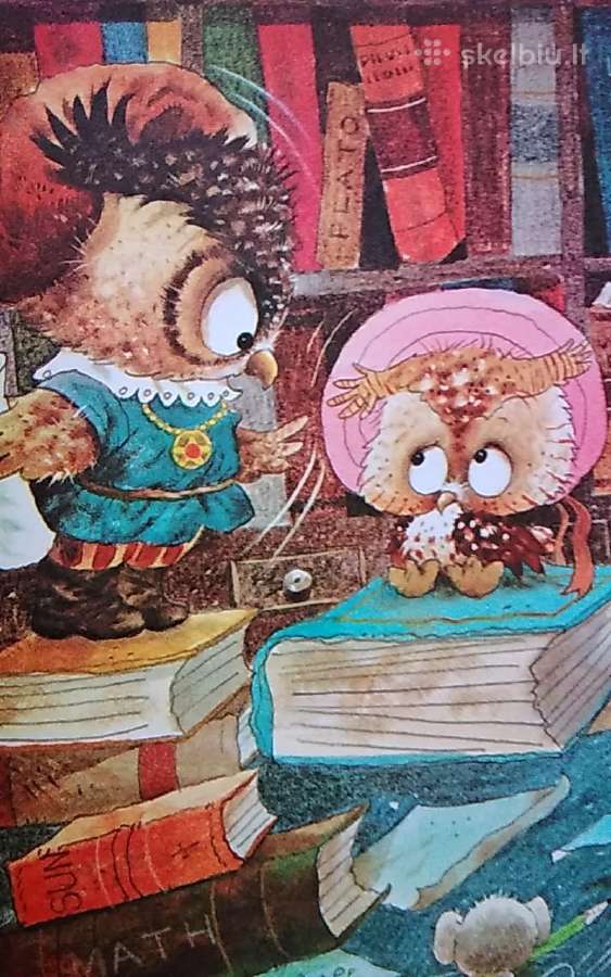 The owl who loved sunshine - nuotraukos Nr. 6