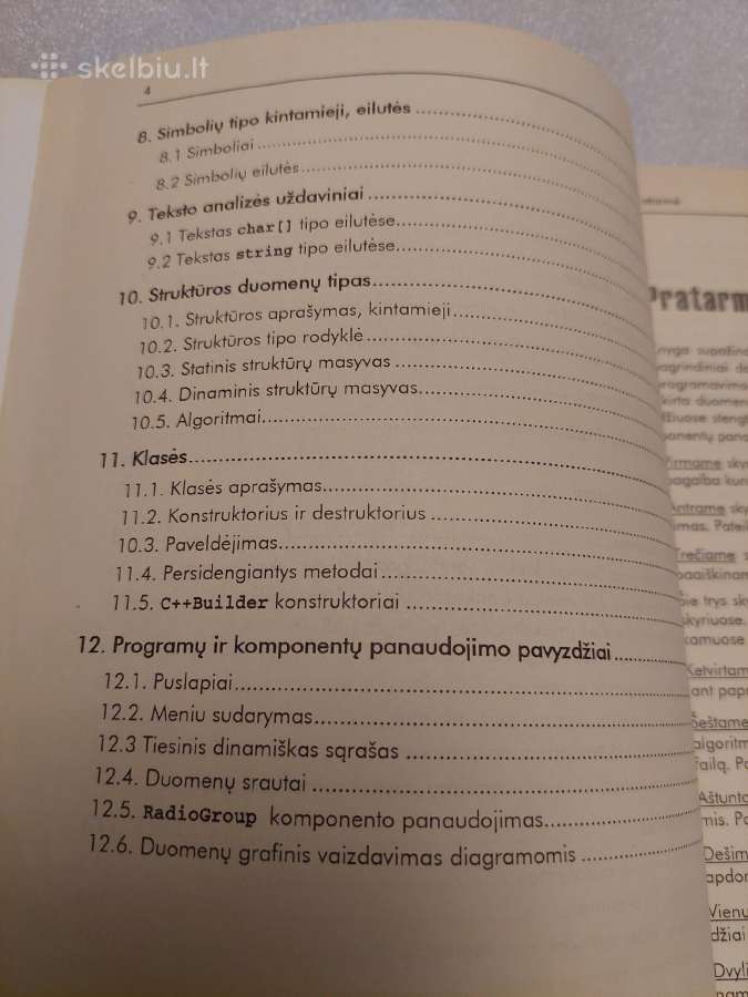 Programavimo C++ Builder pavyzdžiai - nuotraukos Nr. 5
