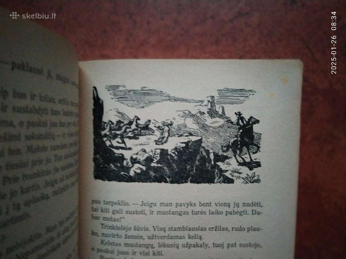 Main Ridas "Raitelis be galvos" 1954 metai - nuotraukos Nr. 6