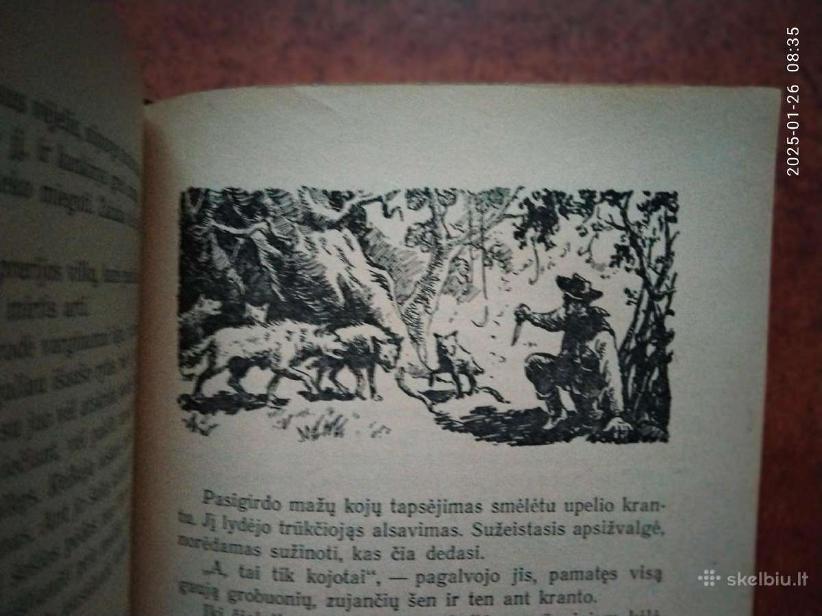 Main Ridas "Raitelis be galvos" 1954 metai - nuotraukos Nr. 8