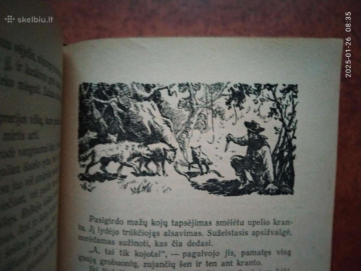 Main Ridas "Raitelis be galvos" 1954 metai. - nuotraukos Nr. 7