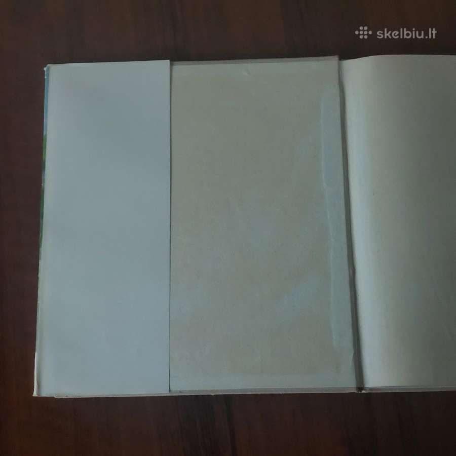 Reprodukcijų albumas - Antanas Žmuidzinavičius - nuotraukos Nr. 7