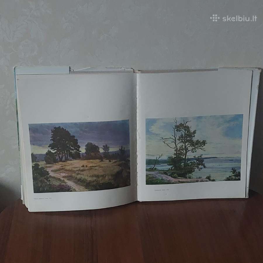 Reprodukcijų albumas - Antanas Žmuidzinavičius - nuotraukos Nr. 21