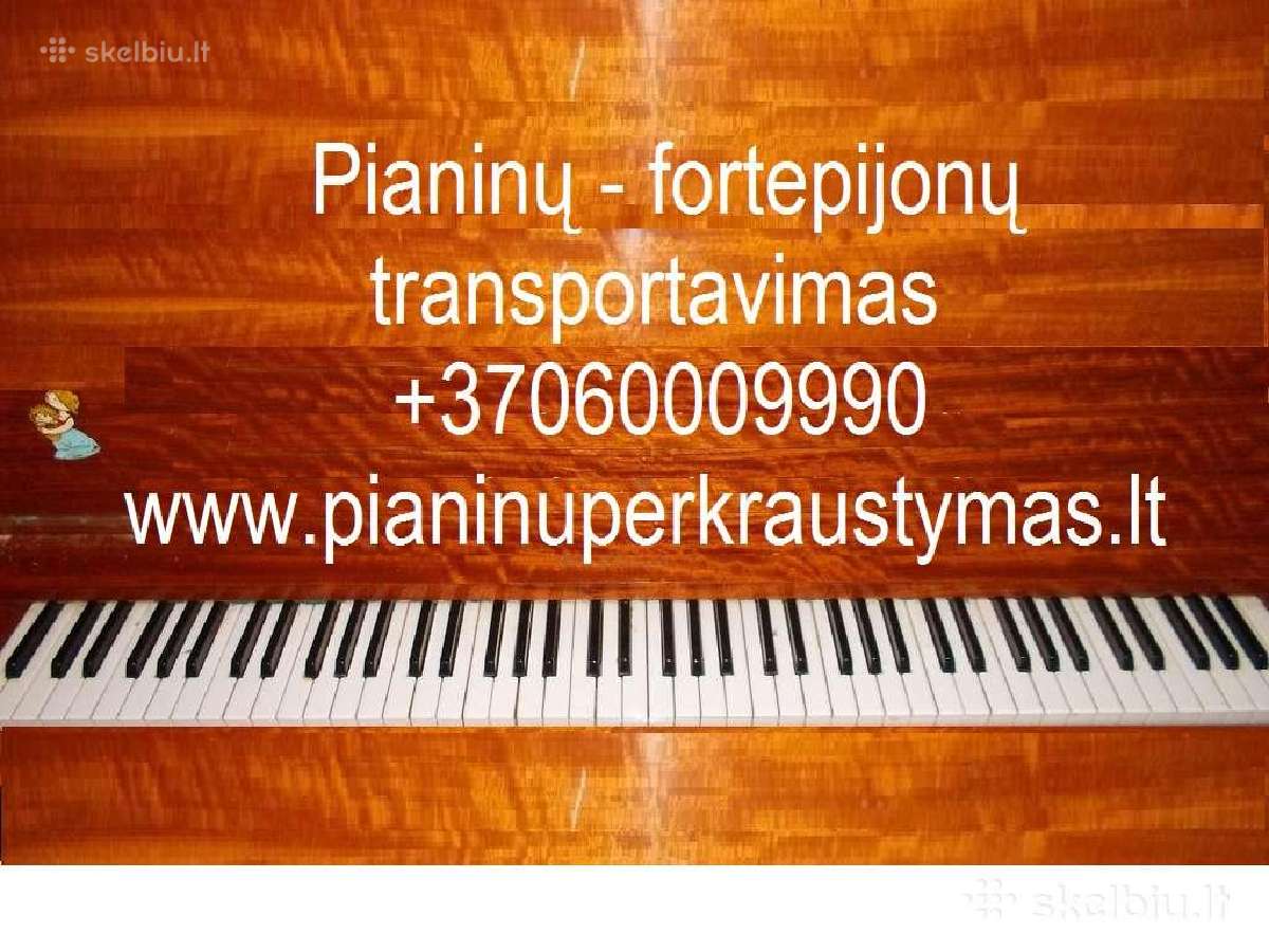 Parduodamas Koncertinis Pianinas C. Bechstein 8 - nuotraukos Nr. 28