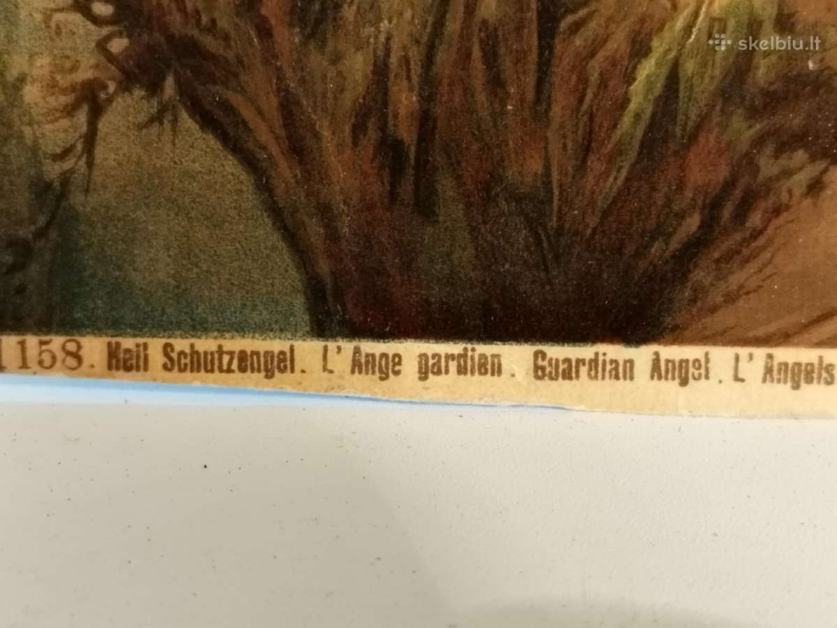 Abrozdėliai - nuotraukos Nr. 7