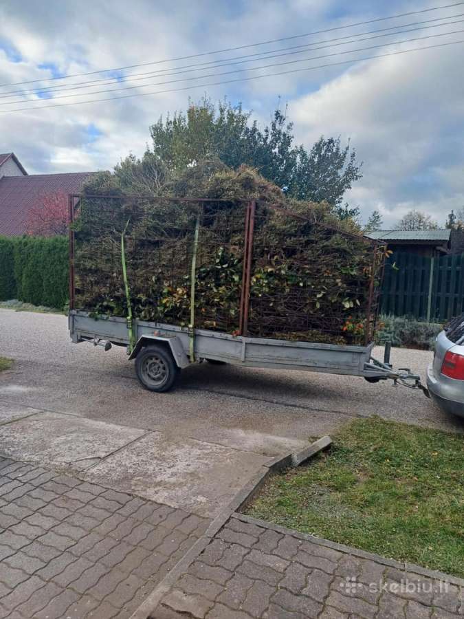 Aplinkos Tvarkymas Vilkaviškis Marijampolė ir k.t - nuotraukos Nr. 35