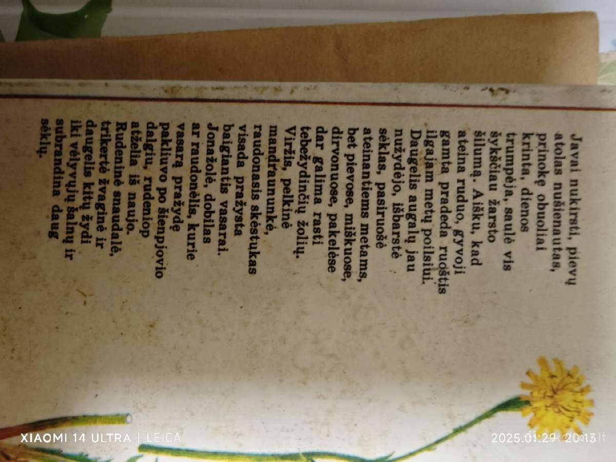 Gydomieji vaistiniai augalai 5 knygos - nuotraukos Nr. 6