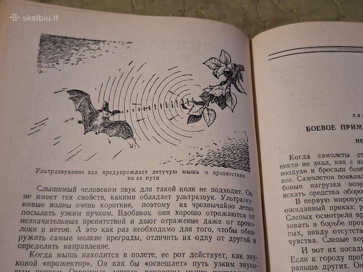 Radijas šiandien - nuotraukos Nr. 12