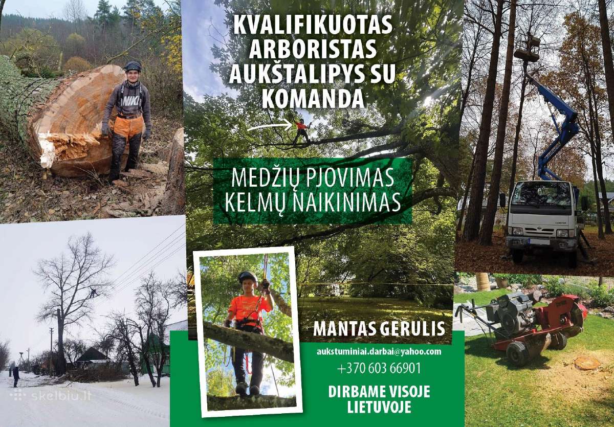 Arboristas. Medžių pjovimas, kelmų naikinimas