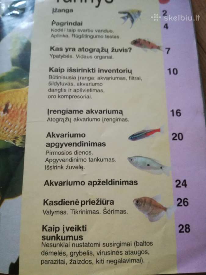 Knygos_lt.pauksciai,gyvunai ,gamta. - nuotraukos Nr. 34