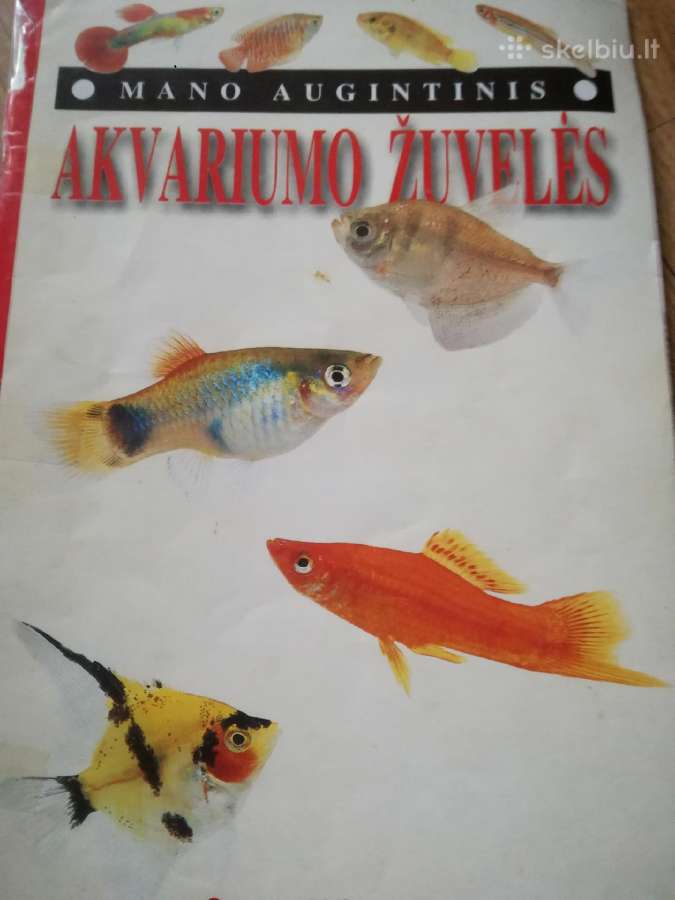 Knygos_lt.pauksciai,gyvunai ,gamta. - nuotraukos Nr. 35