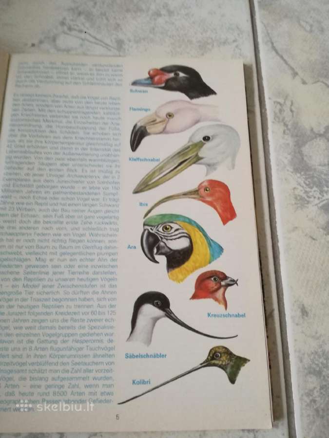 Knygos_lt.pauksciai,gyvunai ,gamta. - nuotraukos Nr. 36