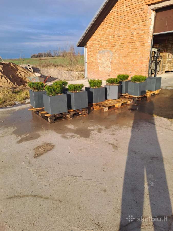 Lauko vazonai. Betoniniai vazonai. - nuotraukos Nr. 7