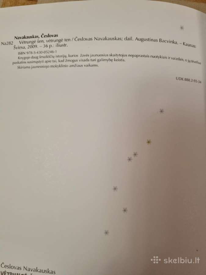 Vėtrungė šen , vėtrungė ten - nuotraukos Nr. 5
