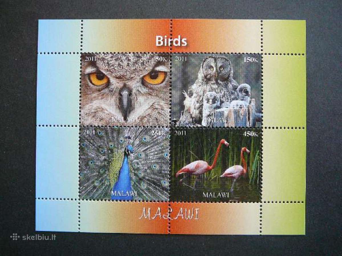 Pauksciai Peledos Flamingai Malavis 2011 pk1891