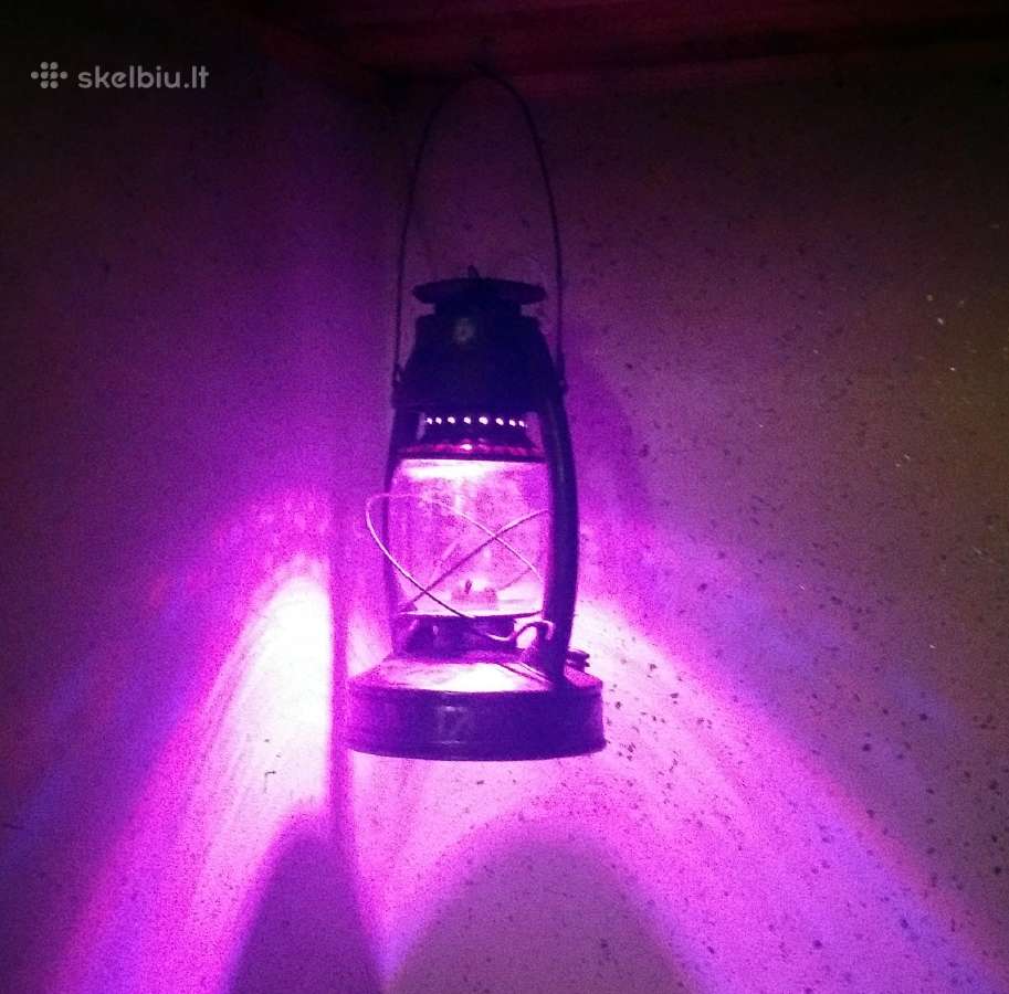 Senovinės žibalinės lempos -"liktarnos" - nuotraukos Nr. 15