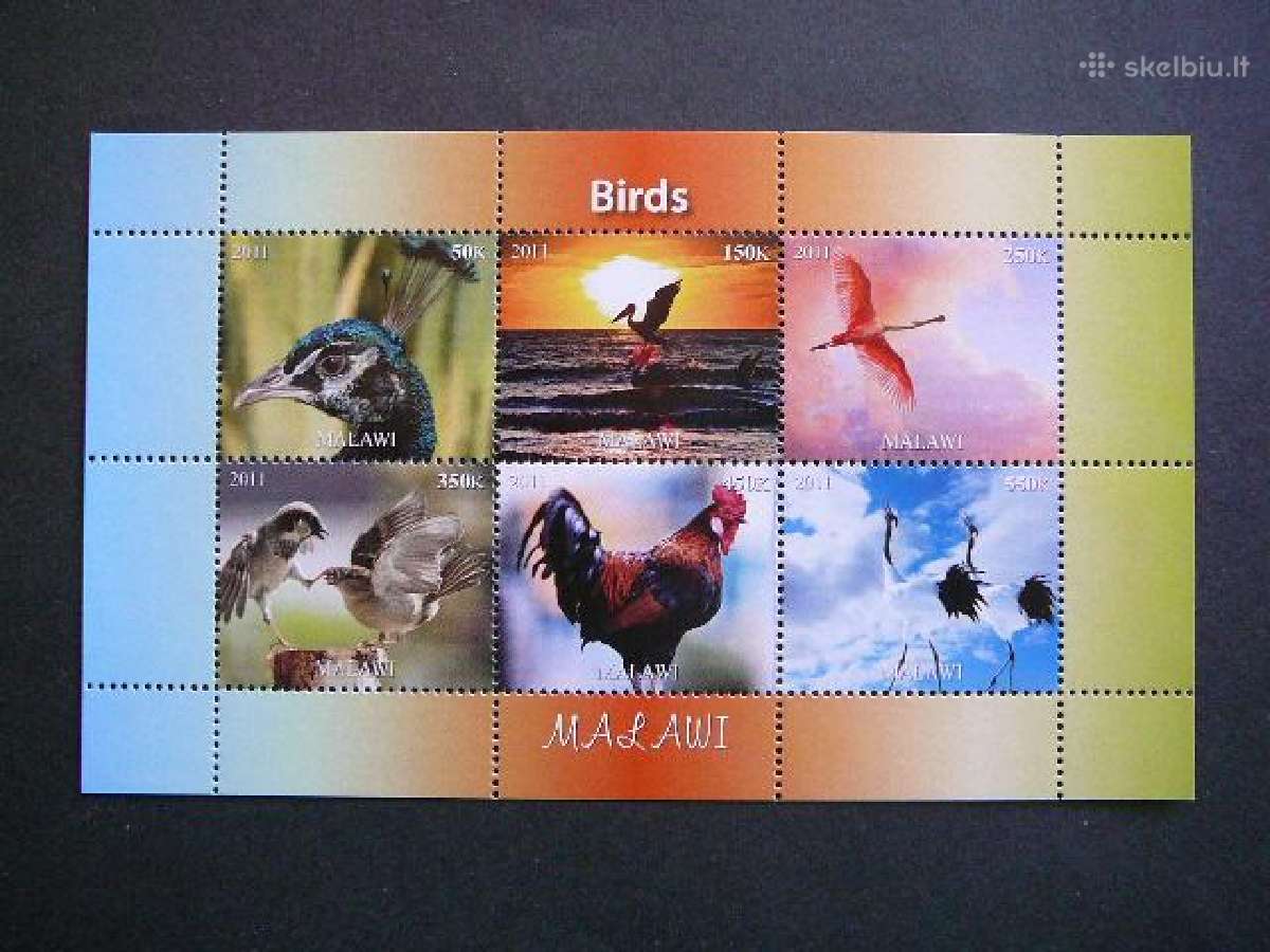 Pauksciai Pelikanai Flamingai Malavis 2011 pk1889