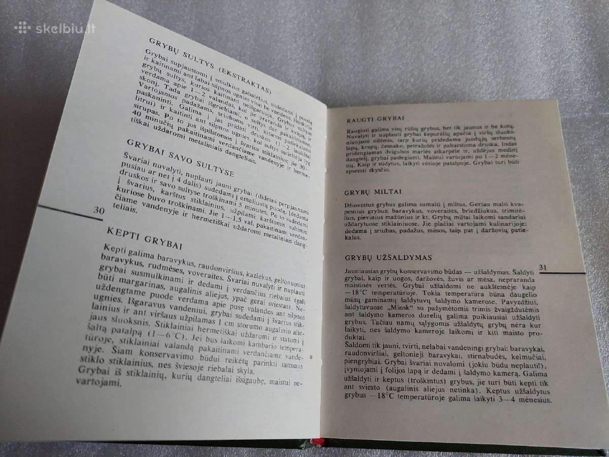 Grybai - nuotraukos Nr. 3