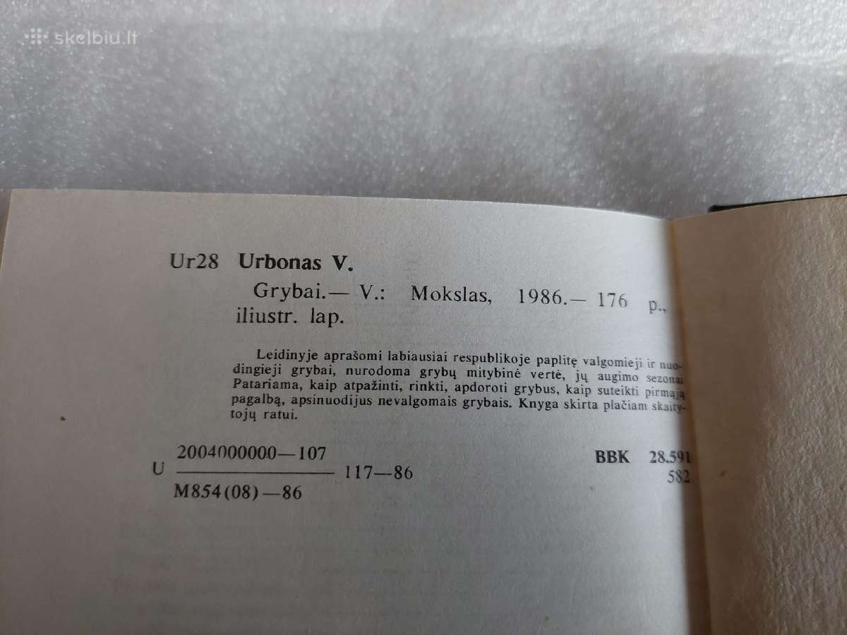 Grybai - nuotraukos Nr. 7