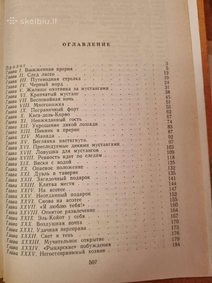 Raitelis be galvos - nuotraukos Nr. 3