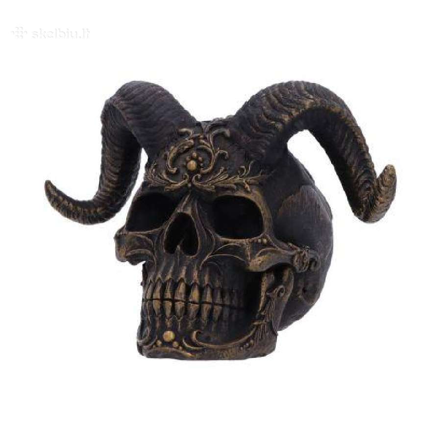 Diabolus Kaukole 18cm - nuotraukos Nr. 2