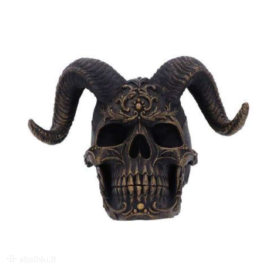 Diabolus Kaukole 18cm - nuotraukos Nr. 4