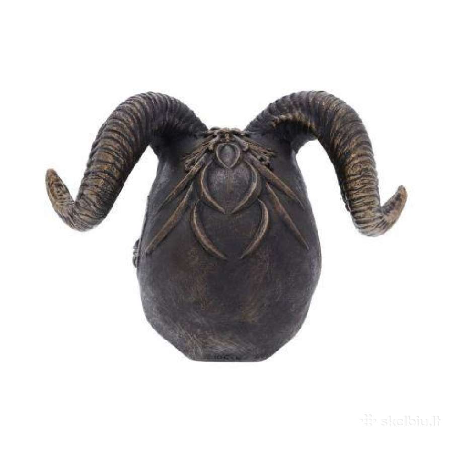 Diabolus Kaukole 18cm - nuotraukos Nr. 5