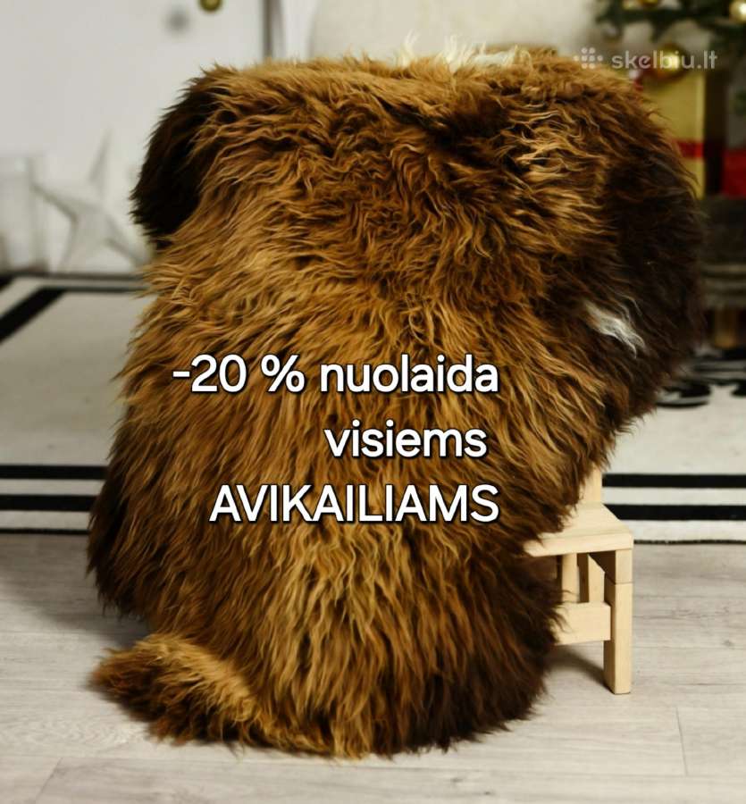 Avikailis