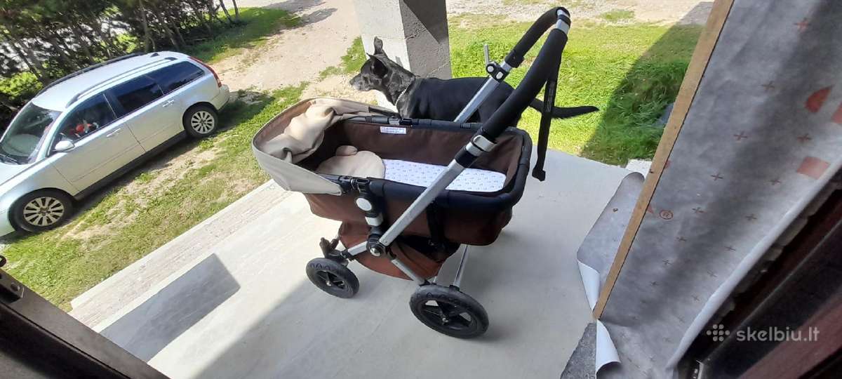 Bugaboo cameleon vežimėlis. Su daug priedų - nuotraukos Nr. 19