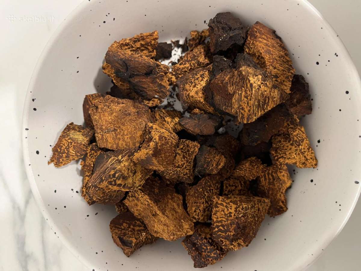 Juodasis beržo grybas čaga (chaga,čiaga) - nuotraukos Nr. 5