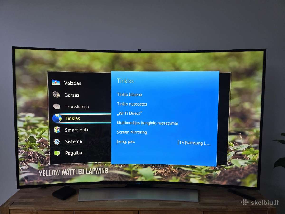 Televizoriai - nuotraukos Nr. 6