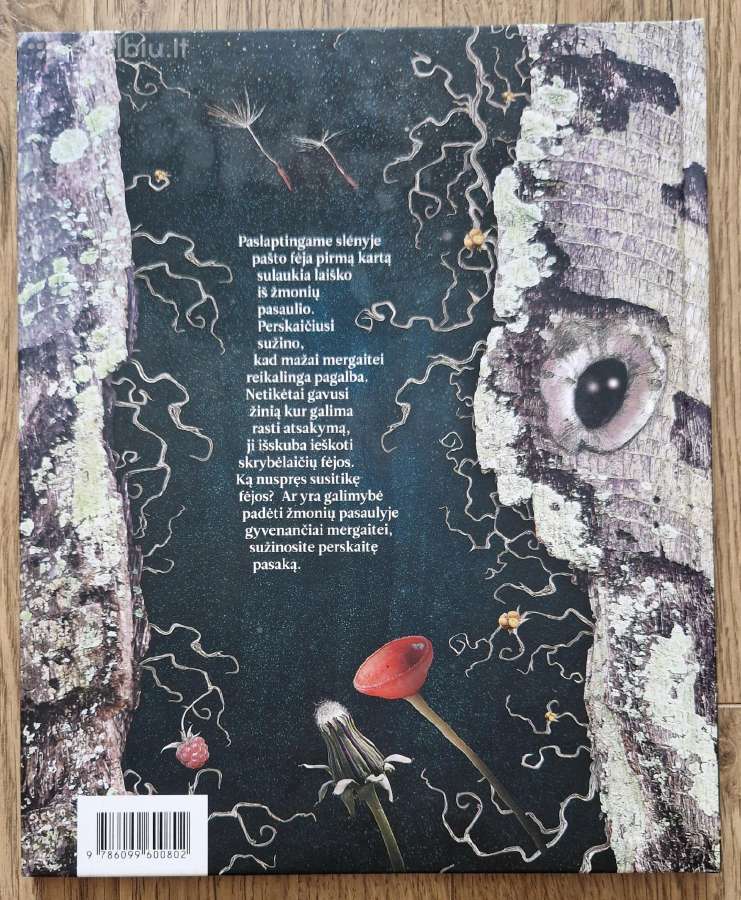 Fėjų muzika, laiškas fėjai - nuotraukos Nr. 2