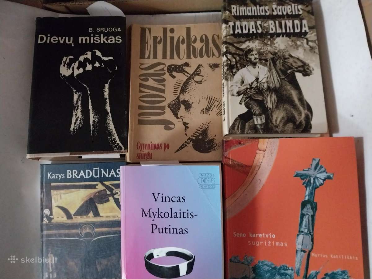 Knygos lietuvių rašytojai - nuotraukos Nr. 2