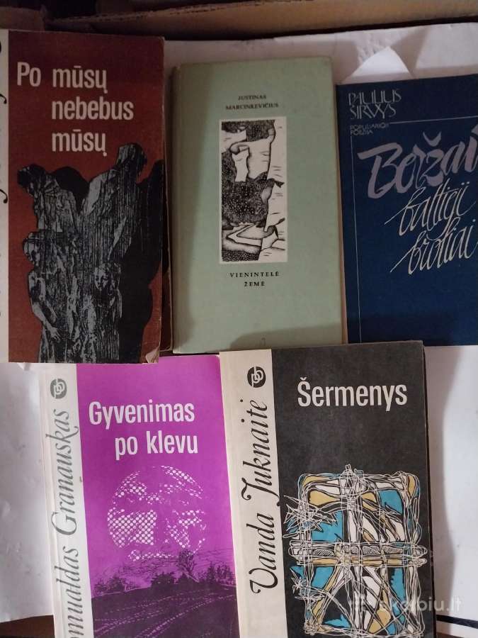Knygos lietuvių rašytojai - nuotraukos Nr. 8