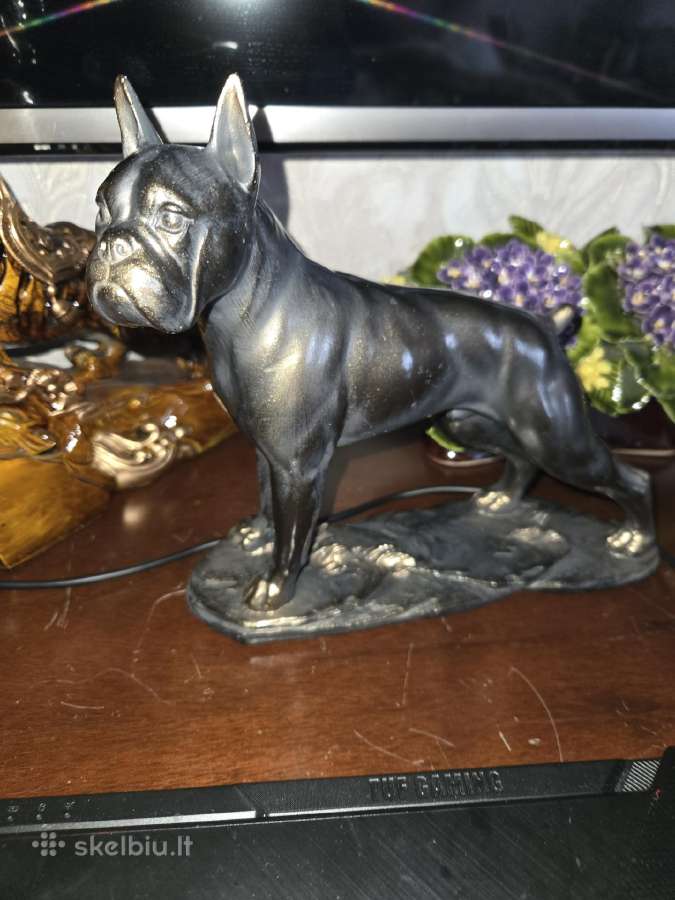 Statulelie bokseris