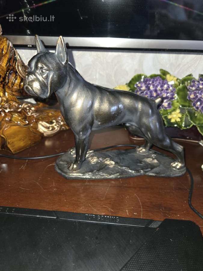 Statulelie bokseris - nuotraukos Nr. 2