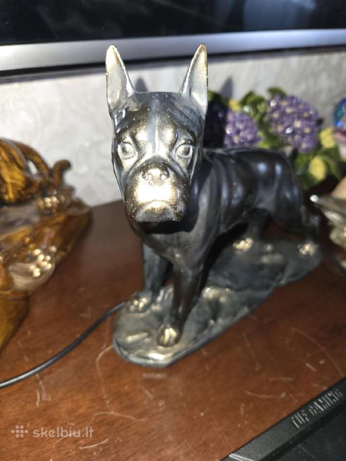 Statulelie bokseris - nuotraukos Nr. 3