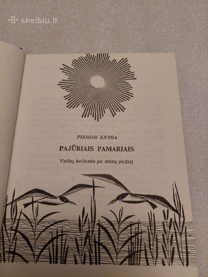 Pajūriais pamariais - nuotraukos Nr. 3