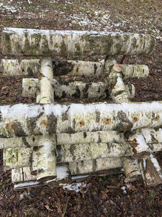 Shiitake grybai. Auginimas, rąstelių paruošimas, - nuotraukos Nr. 10