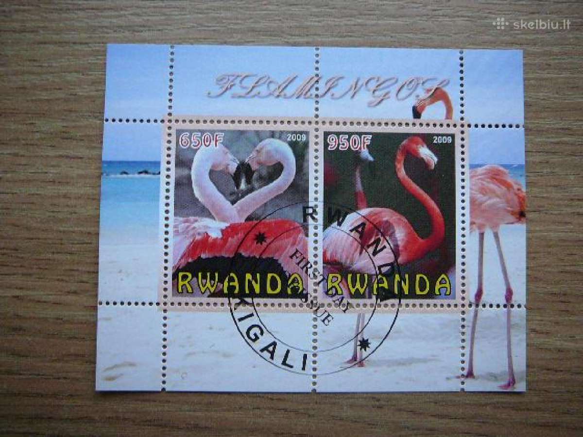 Flamingai Pauksciai Ruanda 2009 antsp. s374