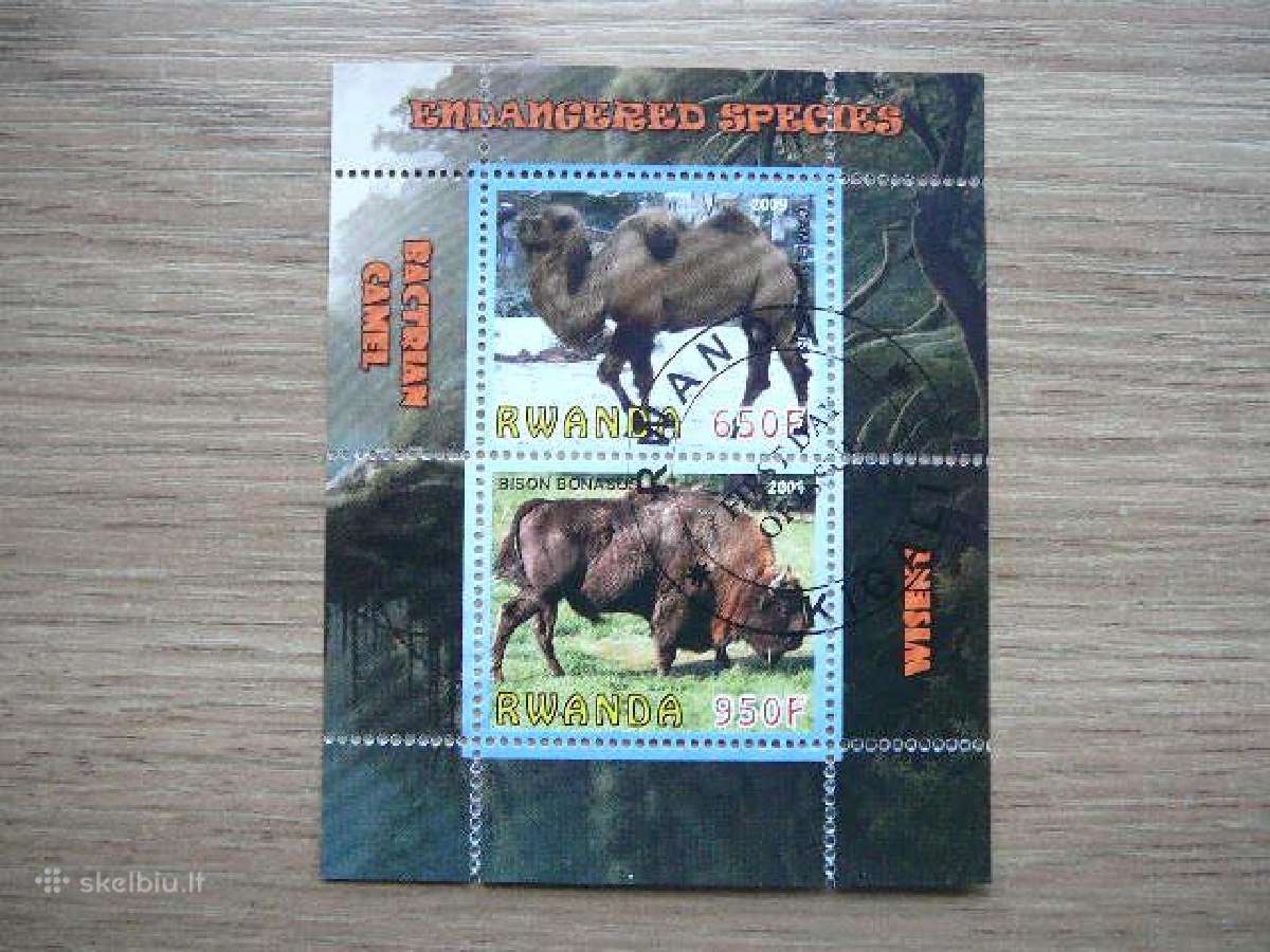 Bizonai Kupranugariai Ruanda 2009 antsp s370