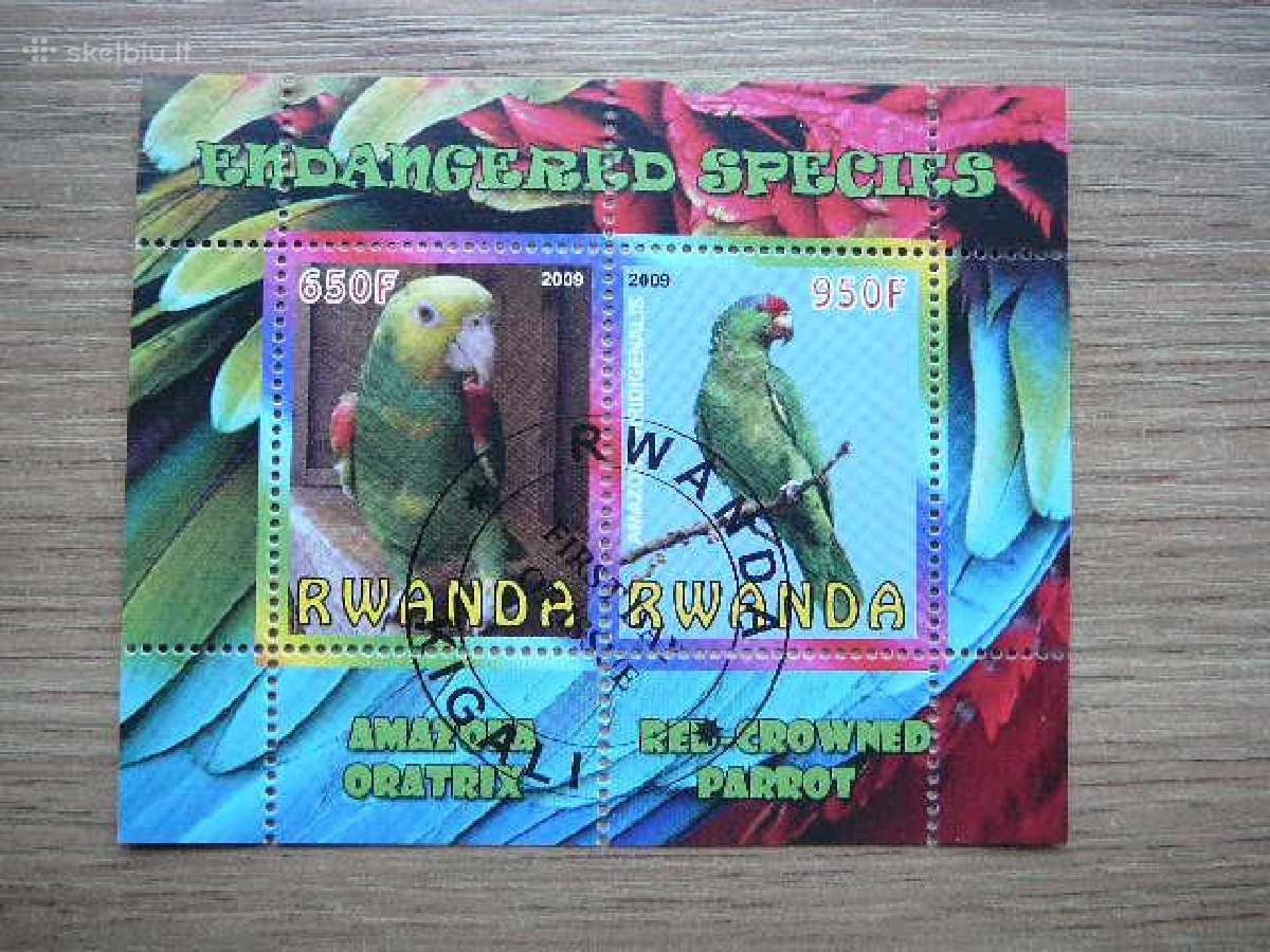 Papugos Pauksciai Ruanda 2009 antsp s369