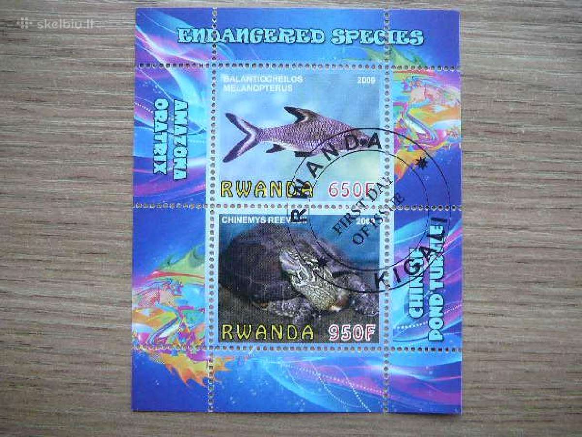 Zuvys Vezliai Ruanda 2009 antsp s368