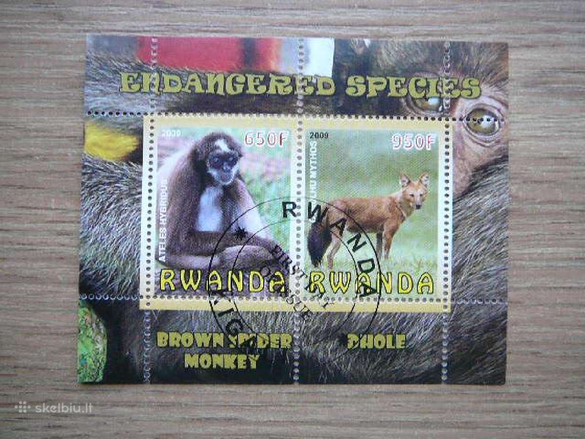Bezdziones Ruanda 2009 antsp. s366