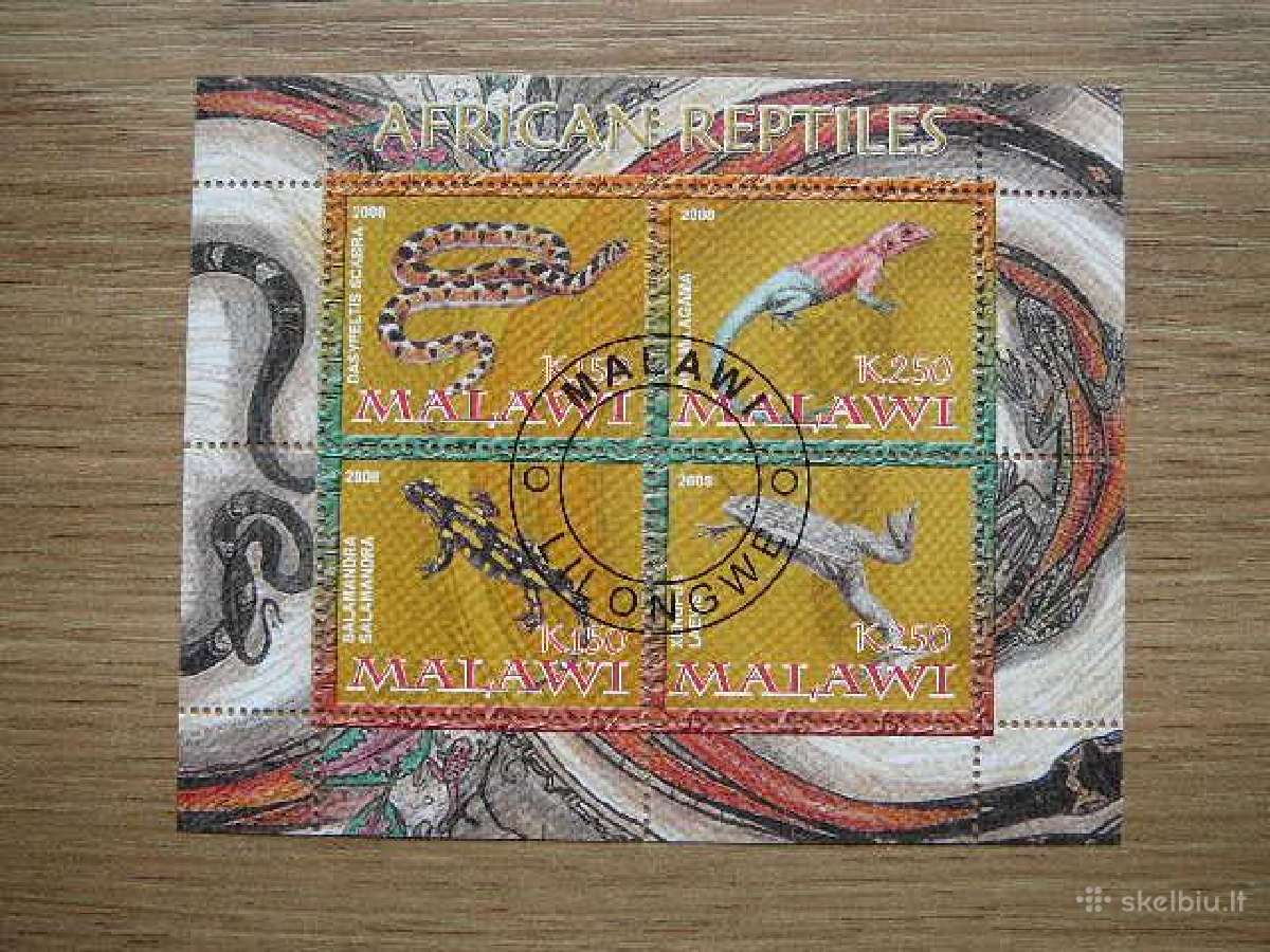 Reptilijos Gyvate Varle Malavis 2008 antsp. s326