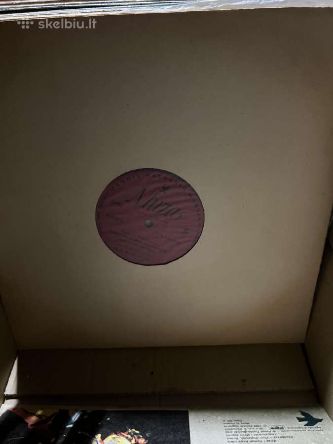 Vinilines ploksteles - nuotraukos Nr. 7